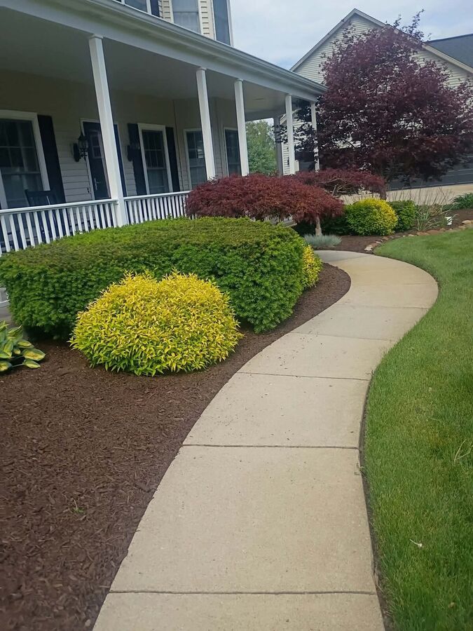 Curved concrete walkway leading to a covered porch, bordered by a dark mulch bed with evergreen shrubs and Japanese maple.